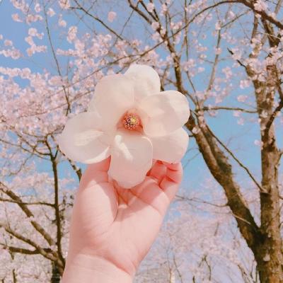 2018����΢��ͷ�� ����   ���޼��ջ����Ŷ