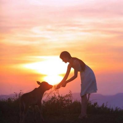 Ψ���ÿ����⾳��΢��Ů��ͷ��  ���ꡢ��˭�ڲ���