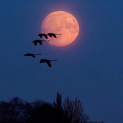 �򵥺ÿ���΢�ŷ羰ͷ��������Ȼ     ��������������