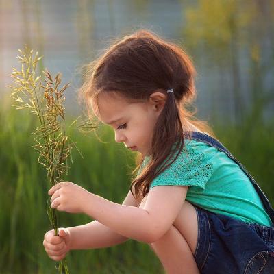 2018������ɰ�������ͷ��     ����������ȥ���ݨ���