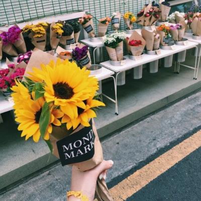 �ÿ��Ļ���羰΢��ͷ��     �����봺��