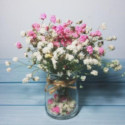 �ÿ��Ļ���羰΢��ͷ��     �����봺��