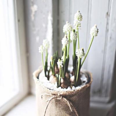 �ÿ��Ļ���羰΢��ͷ��     �����봺��