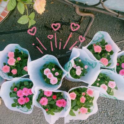 �ÿ��Ļ���羰΢��ͷ��     �����봺��