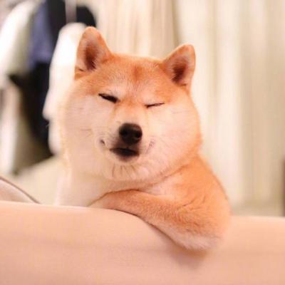 ΢��ͷ�񹷹�����ͼƬ    ʮ���ȶ���