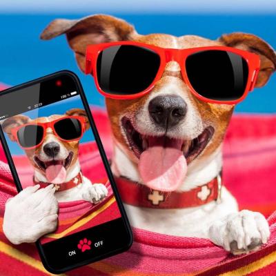 ΢��ͷ�񹷹�����ͼƬ    ʮ���ȶ���