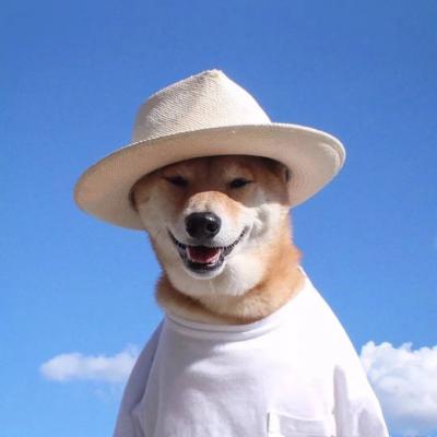 ΢��ͷ�񹷹�����ͼƬ    ʮ���ȶ���