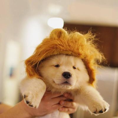 ΢��ͷ�񹷹�����ͼƬ    ʮ���ȶ���