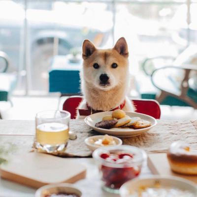 ΢��ͷ�񹷹�����ͼƬ    ʮ���ȶ���