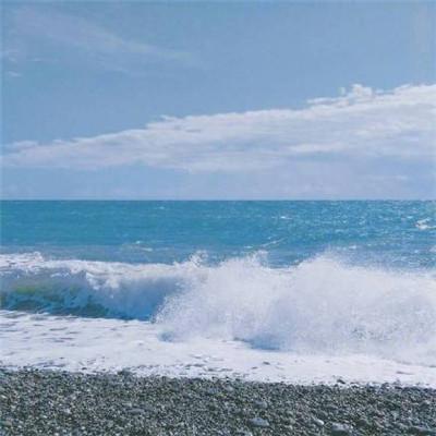 ��ˮ����õ�΢��ͷ��  ���޺�������