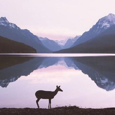 ��ˮ����õ�΢��ͷ��  ���޺�������