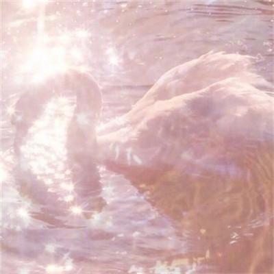 ��ˮ����õ�΢��ͷ��  ���޺�������