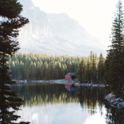 ��ˮ����õ�΢��ͷ��  ���޺�������