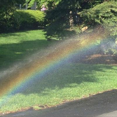 ��ˮ����õ�΢��ͷ��  ���޺�������