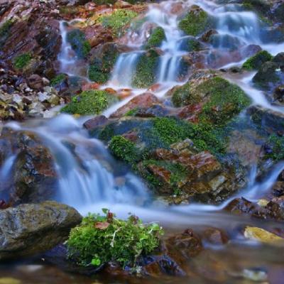 ��ˮ����õ�΢��ͷ��  ���޺�������