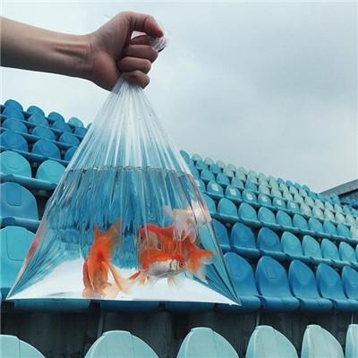 �������вƵ�΢��ͷ��   �����ٻ�����Ŷ