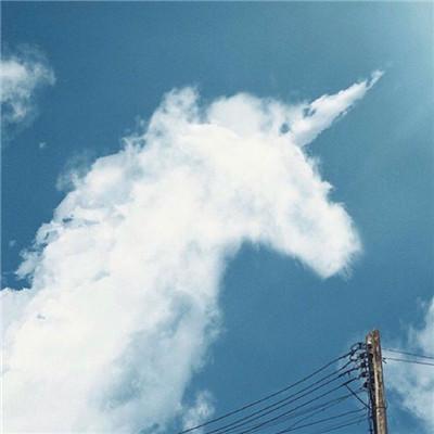 �������вƵ�΢��ͷ��   �����ٻ�����Ŷ