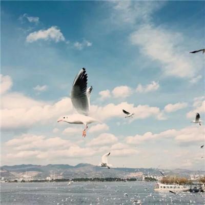 �������вƵ�΢��ͷ��   �����ٻ�����Ŷ