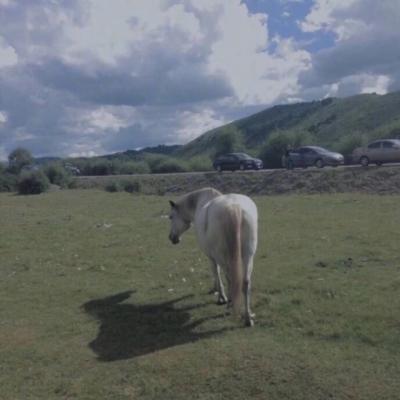 �������вƵ�΢��ͷ��   �����ٻ�����Ŷ