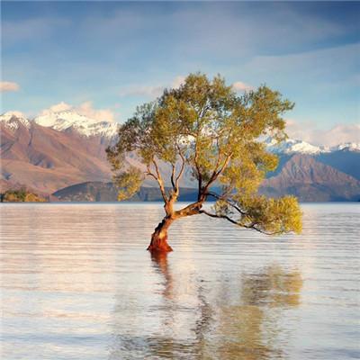 �������вƵ�΢��ͷ��   �����ٻ�����Ŷ