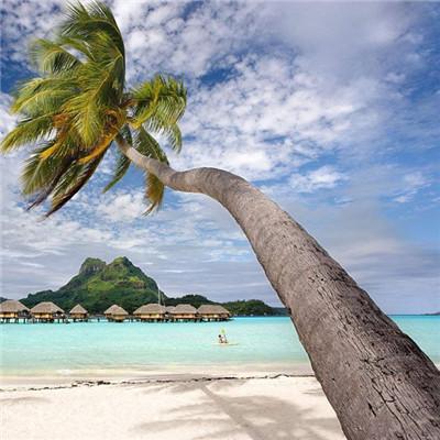 �������вƵ�΢��ͷ��   �����ٻ�����Ŷ