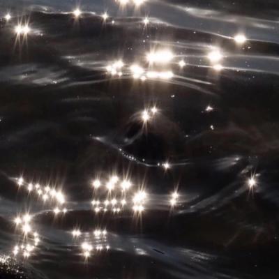 �������вƵ�΢��ͷ��   �����ٻ�����Ŷ