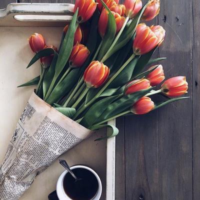 ΢��ͷ�����вƻ���   �����ź��˵Ļ���ͷ��ѡ