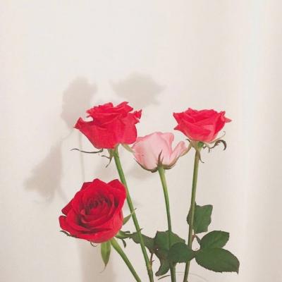 ΢��ͷ�����вƻ���   �����ź��˵Ļ���ͷ��ѡ