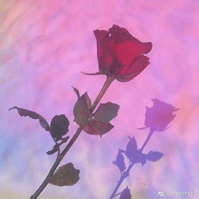 ΢��ͷ�����вƻ���   �����ź��˵Ļ���ͷ��ѡ