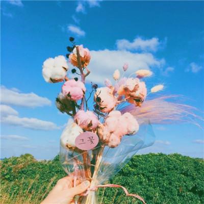 ΢��ͷ�����вƻ���   �����ź��˵Ļ���ͷ��ѡ