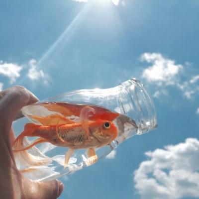 ΢������ĺÿ�ͷ��    ~ҹ������������