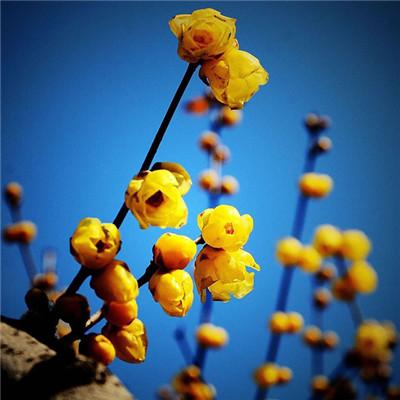 ΢������ĺÿ�ͷ��    ~ҹ������������