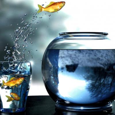 ΢������ĺÿ�ͷ��    ~ҹ������������