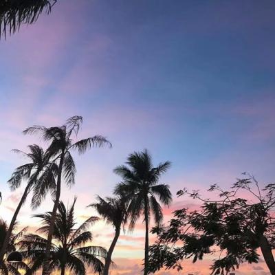 ΢������ĺÿ�ͷ��    ~ҹ������������