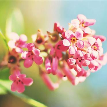 ΢������ĺÿ�ͷ��    ~ҹ������������