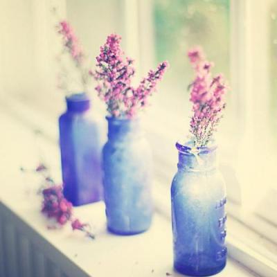 ΢������ĺÿ�ͷ��    ~ҹ������������