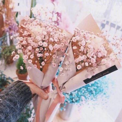 ΢������ĺÿ�ͷ��    ~ҹ������������