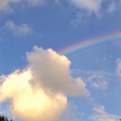 ��������˵�΢��ͷ��  ������Ҳ��һ������