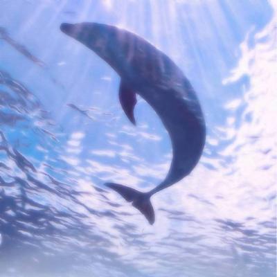 ��������˵�΢��ͷ��  ������Ҳ��һ������