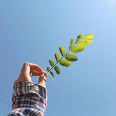 ��������˵�΢��ͷ��  ������Ҳ��һ������