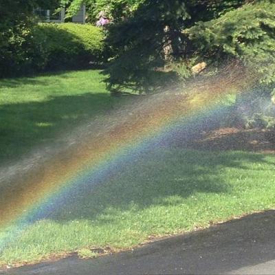 ��������˵�΢��ͷ��  ������Ҳ��һ������