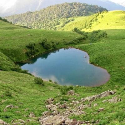 ��������˵�΢��ͷ��  ������Ҳ��һ������