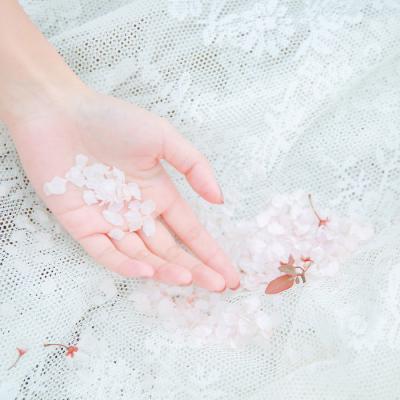 ������ֿظ���ͷ��     ��������