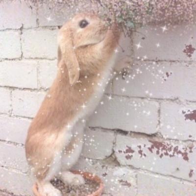 Ԣ��2018���˵ľ���ͷ��  �������ù��Ŷ