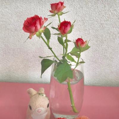 Ԣ��2018���˵ľ���ͷ��  �������ù��Ŷ