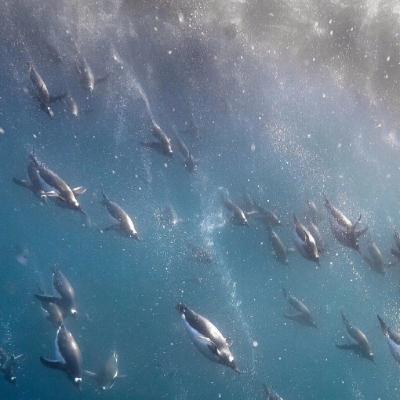 Ԣ��2018���˵ľ���ͷ��  �������ù��Ŷ