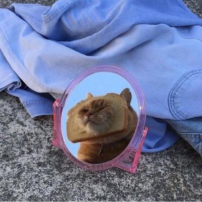 Ԣ��2018���˵ľ���ͷ��  �������ù��Ŷ