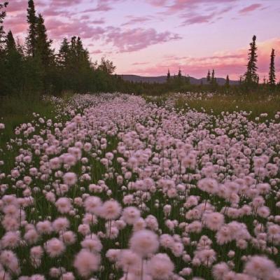 Ԣ��2018���˵ľ���ͷ��  �������ù��Ŷ