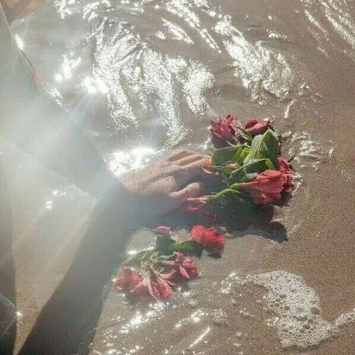 ����Ȧ����ͼ