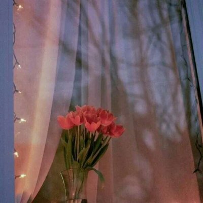 ����Ȧ����ͼ